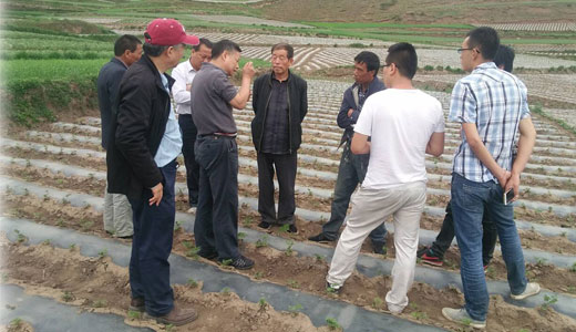 北京国康本草物种生物科学技术研究院教授来我公司种植基地考察指导工作