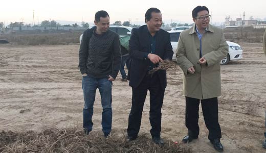 公司投资方领导莅临我司检查指导工作