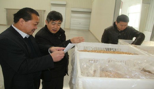 甘肃省工信委领导来我公司参观考察