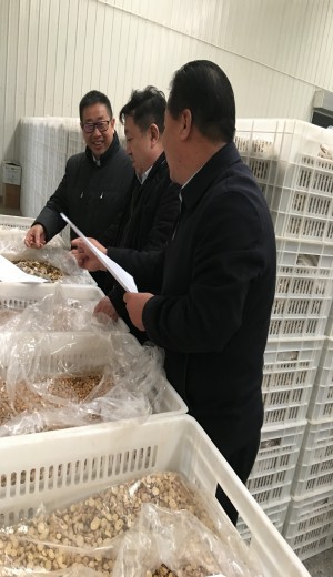 董事长、副董事长一行来公司检查指导工作