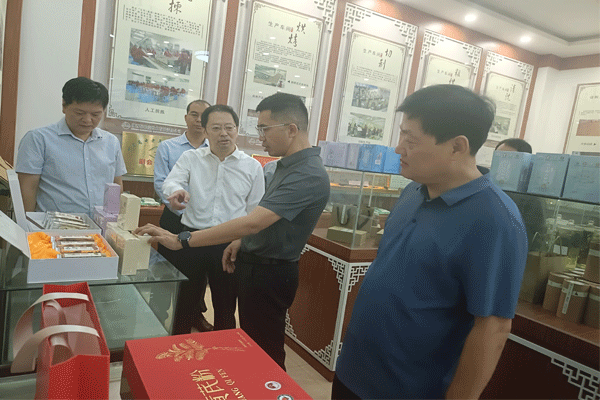 精准赋能企业提质增效——南通产业控股集团赴陇西保和堂专题调研